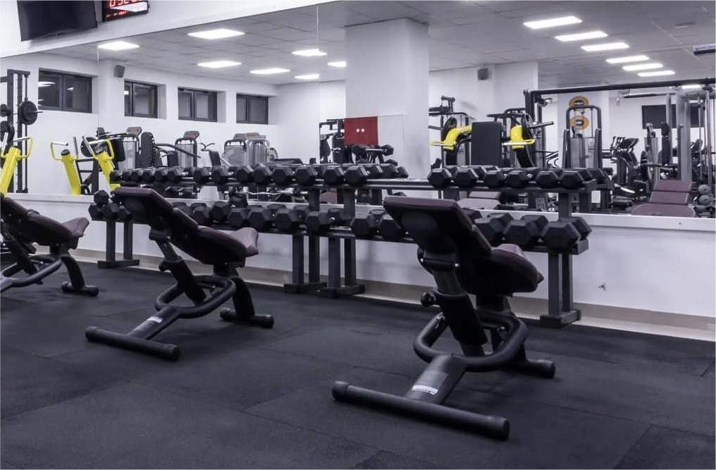 Bučice za vežbanje na svetloj pozadini, prikaz tri para bučica različitih težina